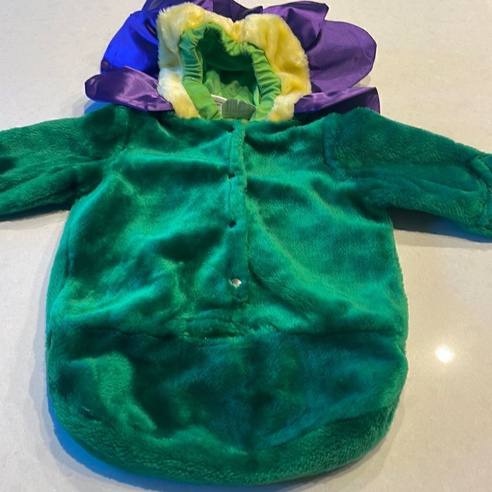 Halloween costume flower bunting  costume 0-12 months. Super cute. Be ready.